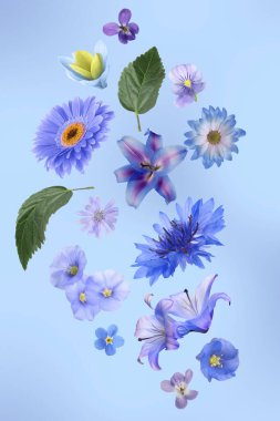 Mavi ve mor tonlarda güzel çiçekler renk arkaplanına düşüyor