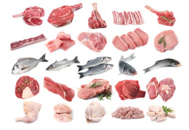 Balık ve et. Beyaz arka planda farklı ham ürünler, kolaj