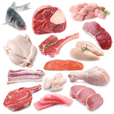 Balık ve et. Beyaz arka planda farklı ham ürünler, kolaj