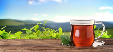 Dağlardaki çay tarlasına karşı ahşap masada bir fincan çay. Metin için alanı olan pankart tasarımı