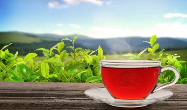 Dağlardaki çay tarlasına karşı ahşap masada bir fincan çay. Metin için alanı olan pankart tasarımı