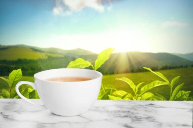 Dağlardaki çay tarlasına karşı mermer masada bir fincan yeşil çay. Metin için boşluk