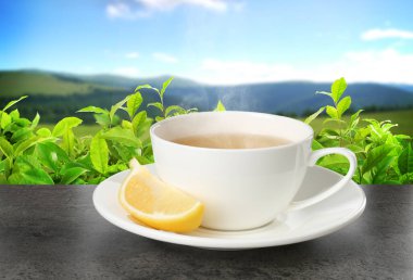 Dağlardaki çay tarlasına karşı bir fincan yeşil çay ve limon.