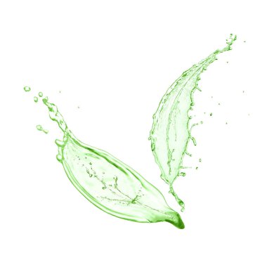 Su akışından yapılmış ağaç yaprakları beyaza izole edilmiş.