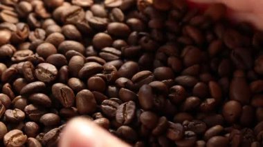 Masaya aromatik kahve çekirdekleri döken kadın, yakın plan.