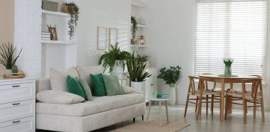 Rahat bir kanepe, masa, sandalyeler ve yeşil ev bitkileri. İç tasarım