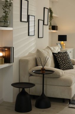 Rahat bir kanepe, sade kahve masaları ve farklı dekorlar. İç tasarım