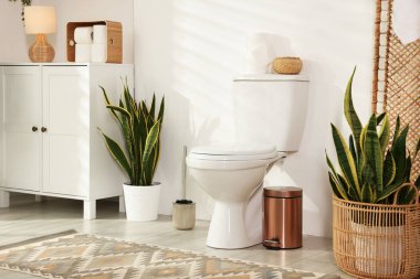 Seramik klozet, ev bitkileri ve ihtiyaçlar tuvalette.