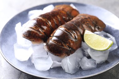 Limonlu ve buzlu çiğ ıstakoz kuyruğu, yakın plan.