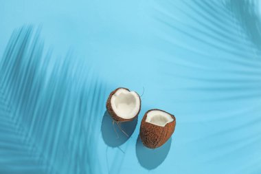 Taze hindistan cevizi ve gölge açık mavi zemin üzerinde tropikal palmiye döküm, üst görünüm