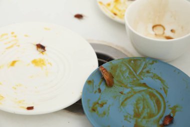 Mutfak lavabosunda kirli tabaklarda sürünen hamamböcekleri.