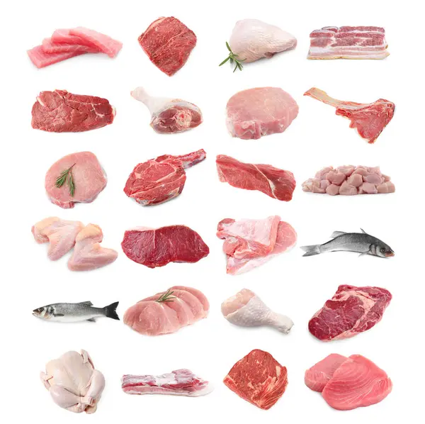 Balık ve et. Beyaz arka planda farklı ham ürünler, kolaj