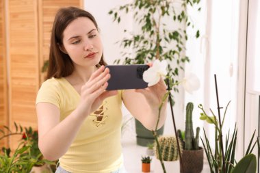 Akıllı telefondan ev bitkisi tanıma uygulaması kullanan bir kadın.