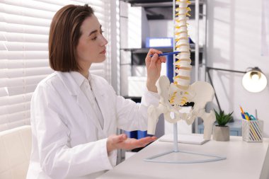 Doktor, klinikteki masadaki insan omurga modeline işaret ediyor.