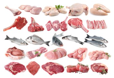 Balık ve et. Beyaz arka planda farklı ham ürünler, kolaj