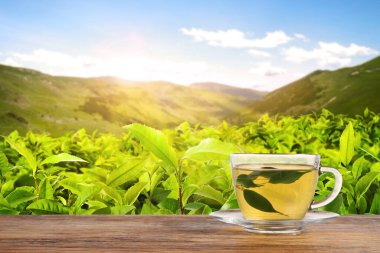 Dağlardaki çay tarlasına karşı ahşap masada bir fincan yeşil çay. Metin için boşluk