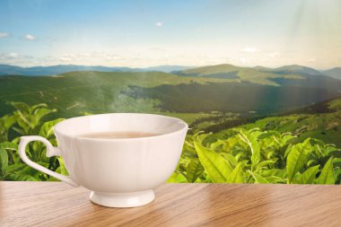 Dağlardaki çay tarlasına karşı ahşap masada bir fincan yeşil çay. Metin için boşluk