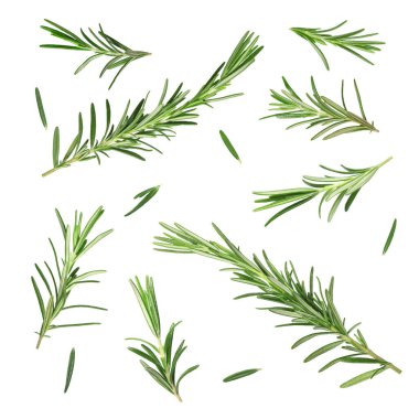 Beyaz üzerine izole edilmiş taze aromatik biberiye, kolaj