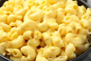 Peynir soslu lezzetli makarna, yakın plan.