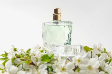 Bir şişe aromatik parfüm ve beyaz arka planda güzel çiçekli dallar, yakın plan. Ürünün şık sunumu