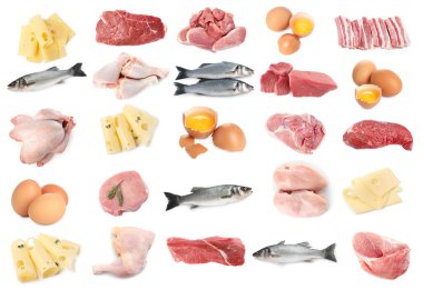 Et, balık, yumurta ve peynir. Beyaz arka planda farklı taze ürünler, kolaj