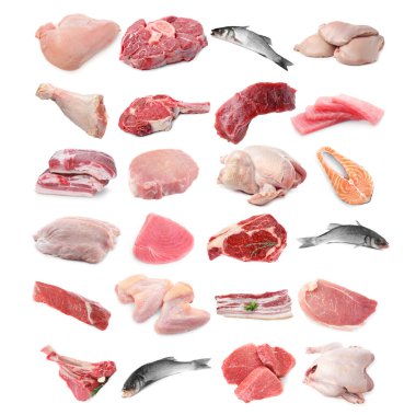 Balık ve et. Beyaz arka planda farklı ham ürünler, kolaj