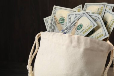Bulanık arka planda dolar banknotları olan para çantası, yakın plan