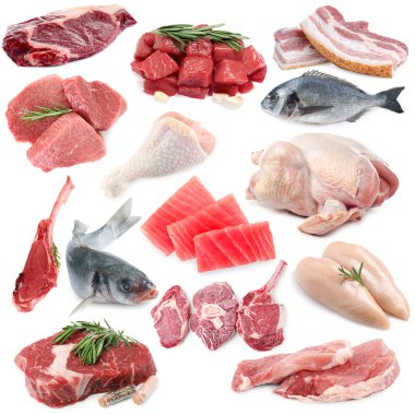 Balık ve et. Beyaz arka planda farklı ham ürünler, kolaj