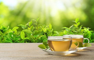 Çay çiftliğindeki ahşap masada bir fincan yeşil çay. Metin için alanı olan pankart tasarımı