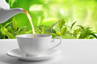 Çay tarlasında fincana çay dökmek. Metin için boşluk