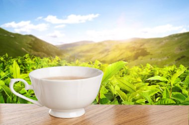 Dağlardaki çay tarlasına karşı ahşap masada bir fincan yeşil çay. Metin için boşluk