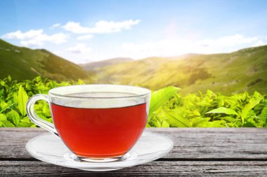 Dağlardaki çay tarlasına karşı ahşap masada bir fincan çay. Metin için boşluk