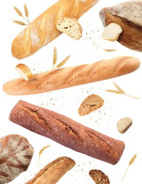 Beyaz arka plana düşen farklı ekmek ve dikenler.