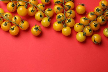 Kırmızı zemin üzerinde olgun sarı kiraz domatesleri, düz uzanmış. Metin için boşluk