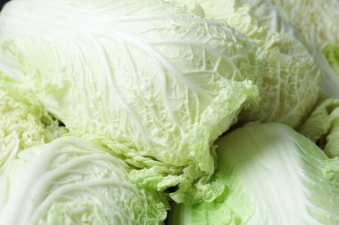 Arka plan olarak pek çok taze Çin lahanası, yakın plan