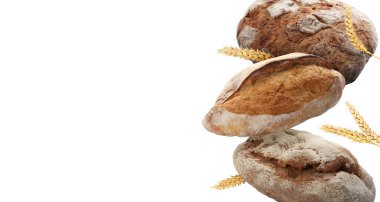 Taze ekmek ve dikenler beyaz arka plana düşüyor. Metin için alanı olan pankart tasarımı