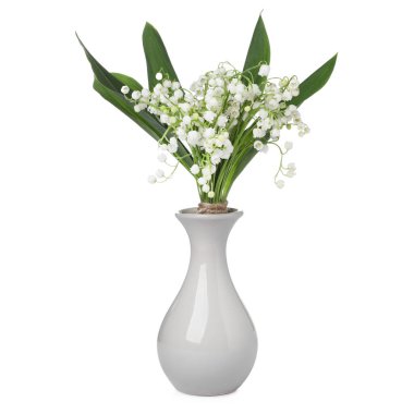 Bir buket güzel zambak vadi çiçekleri bembeyaz