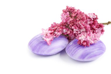 Sabun çubukları ve leylak çiçekleri izole edilmiş beyaz