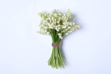 Beyaz arka planda, vadideki güzel zambak çiçekleri.