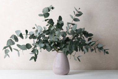 Açık gri duvarın yanındaki masada vazoda güzel okaliptüs dalları var.