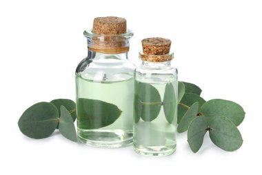Beyaz üzerine izole edilmiş yağ ve okaliptüs yaprakları şişeleri.