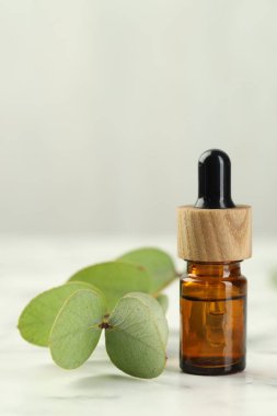 Gerekli yağ ve okaliptüs yaprakları beyaz mermer masanın üzerinde, yakın plan.