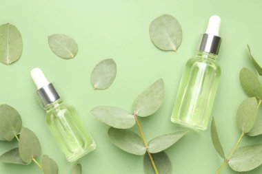 Yeşil zemin üzerinde gerekli yağ ve okaliptüs yaprakları, düzlük