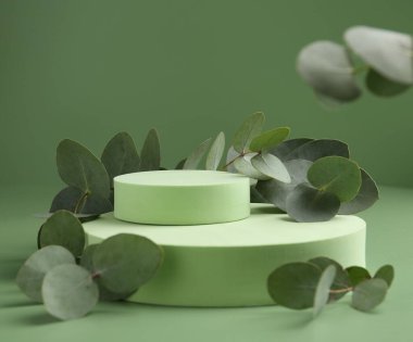 Yeşil zemine karşı podyumda güzel okaliptüs dalları