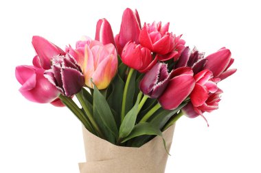 Beyaz izole güzel Lale buketi