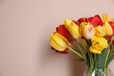 Bej arka planda bir buket güzel lale, yakın plan. Metin için boşluk