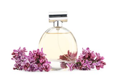 Bir şişe lüks parfüm ve beyaza ayrılmış leylak çiçekleri.