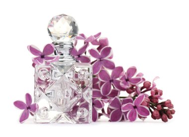 Bir şişe lüks parfüm ve beyaza ayrılmış leylak çiçekleri.