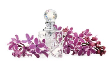 Bir şişe lüks parfüm ve beyaza ayrılmış leylak çiçekleri.