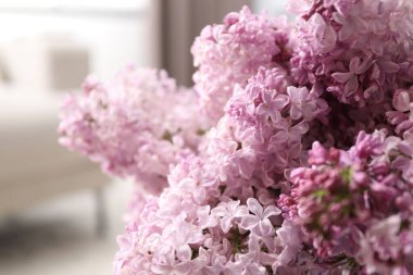 Bulanık arka planda güzel leylak çiçekleri, yakın plan. Metin için boşluk